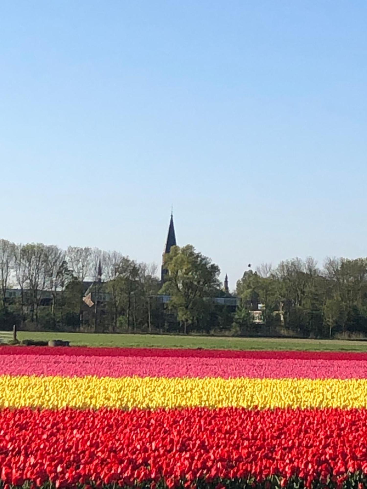 Prins Heerlijk Sassenheim Exteriör bild